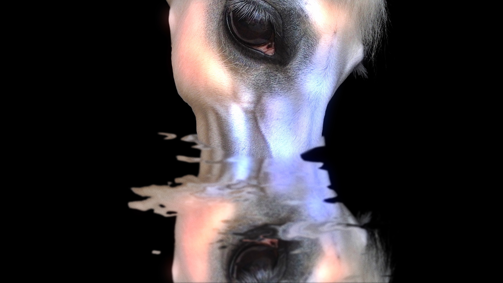 demons brain